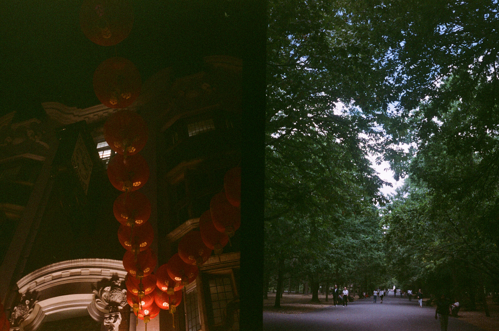 chinatown lanterns and a tree lined path in a london park